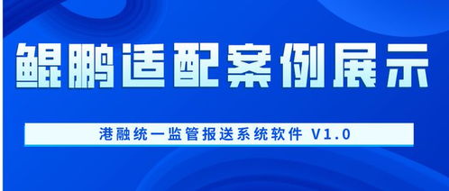 鯤鵬適配案例展示 港融統(tǒng)一監(jiān)管報(bào)送系統(tǒng)軟件 v1.0 與信息技術(shù)咨詢(xún)服務(wù)